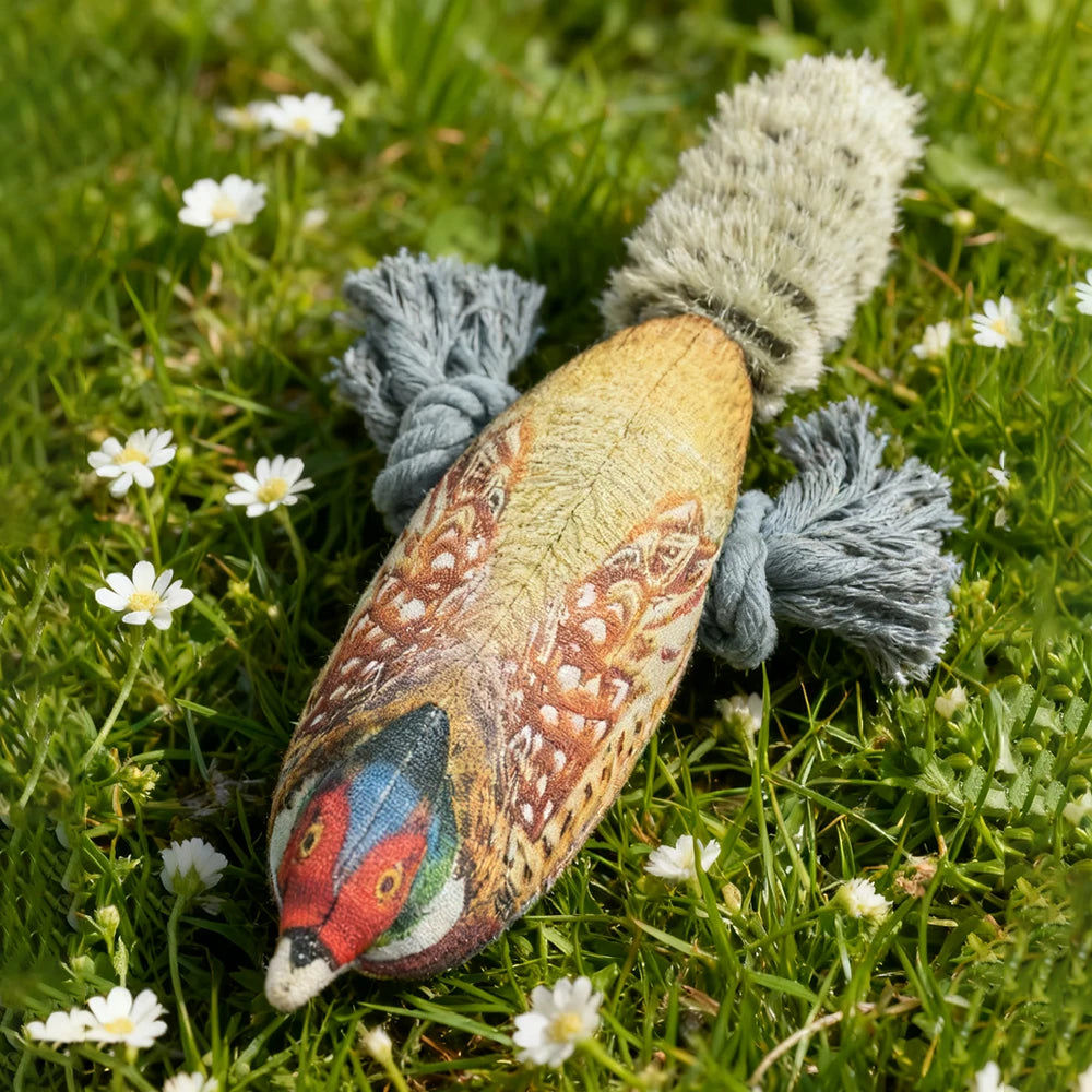 Plush Toy for Cats and Dogs: Lifelike Pheasant, Tear-Resistant Knotted Toy, Washable, Interactive Companion Toy for Pets