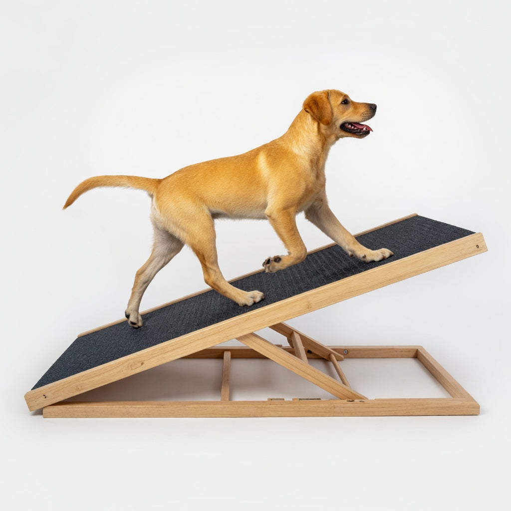 Rampa Plegable Mascotas Altura Ajustable Antideslizante L