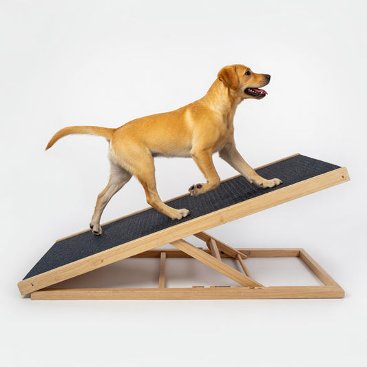 Rampa Plegable Mascotas Altura Ajustable Antideslizante L