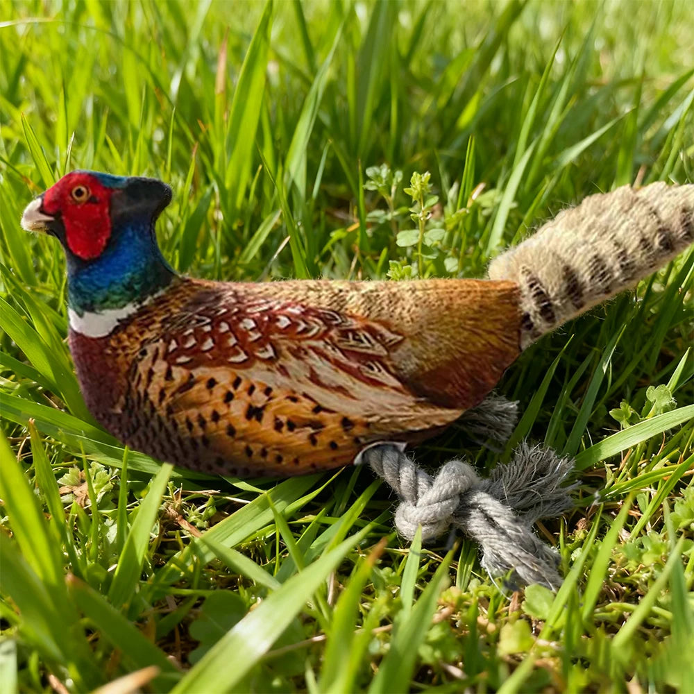 Plush Toy for Cats and Dogs: Lifelike Pheasant, Tear-Resistant Knotted Toy, Washable, Interactive Companion Toy for Pets