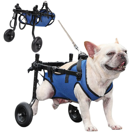 Carro de Ruedas para Perros Discapacitados