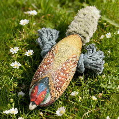 Plush Toy for Cats and Dogs: Lifelike Pheasant, Tear-Resistant Knotted Toy, Washable, Interactive Companion Toy for Pets