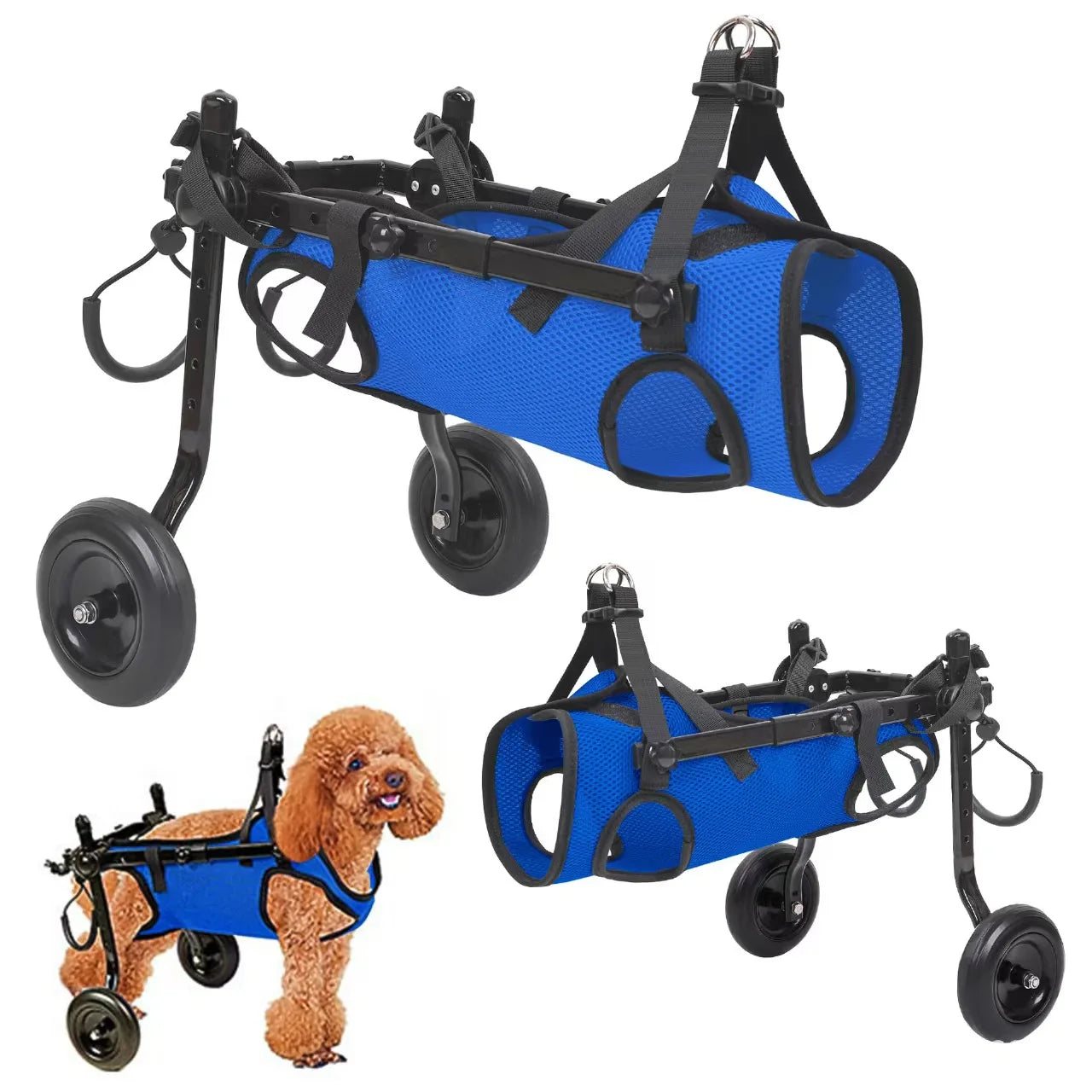 Carro de Ruedas para Perros Discapacitados