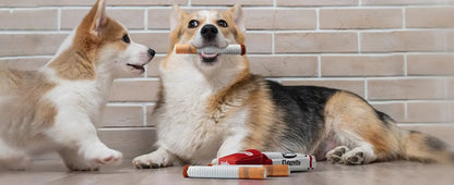Funny Interactive Plush Dog Toys Creative Cigarette Interactive Giggles Dog Toys Funny Plush Chewing Toy Cigaret Box Pet Gifts