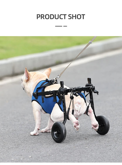 Carro de Ruedas para Perros Discapacitados