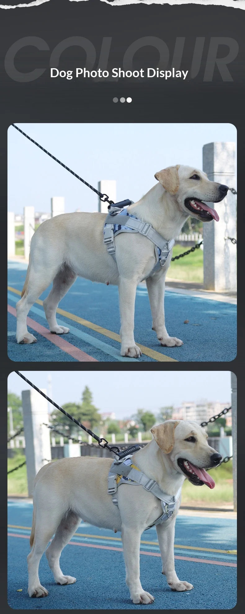 Medium and large dog explosion-proof reflective dog leash, pet leash, vest-style dog harness