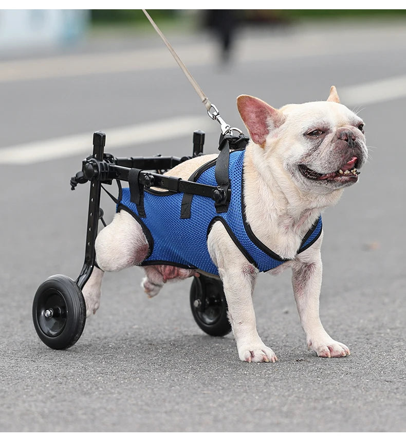 Carro de Ruedas para Perros Discapacitados