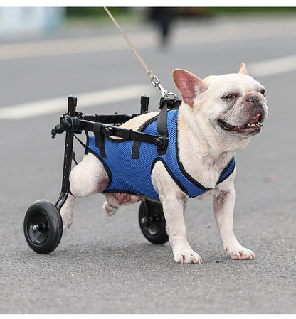 Carro de Ruedas para Perros Discapacitados