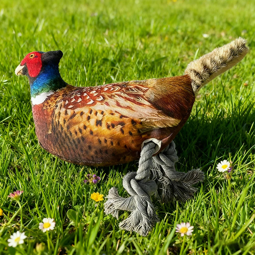 Plush Toy for Cats and Dogs: Lifelike Pheasant, Tear-Resistant Knotted Toy, Washable, Interactive Companion Toy for Pets